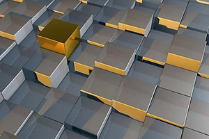 Management - Real Option Reasoning